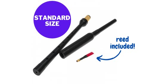 Practice Chanter By Mccallum Bagpipes In Scotland (Regular Size), Reed Included, Learn To Play The Bagpipes. Perfect Starter Bundle For Beginners, Kids And Adults #TOP5