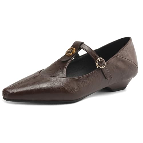 Women's Elegant T-Strap Vintage Pumps Block Low Heel Pointed Toe Cut Out Mary Jane
