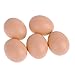 JIJK - Set di 5 uova finte, per pollame e pollame, uova di pollo, per la posa di galline, giocattolo realistico per la pittura fai da te, per bambini, cucina, cibo, decorazione domestica