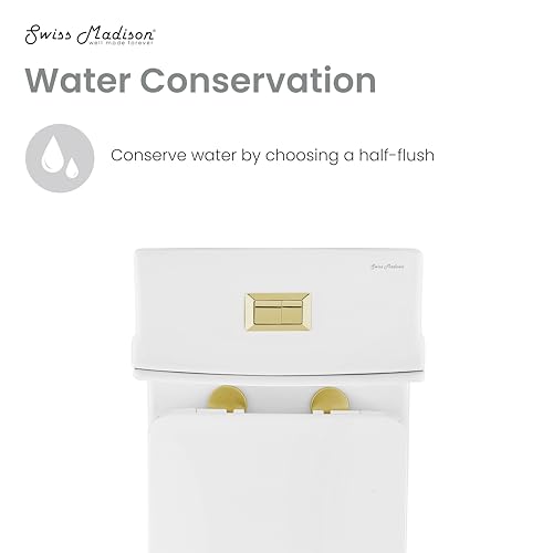 Image of Concorde One Piece Square Toilet Dual Flush, Brushed Gold Hardware 1.1 /1.6 gpf