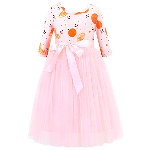 Flofallzique Girls Tulle Dress Long Sleeves Birthday Party Easter Toddler Floral Dress