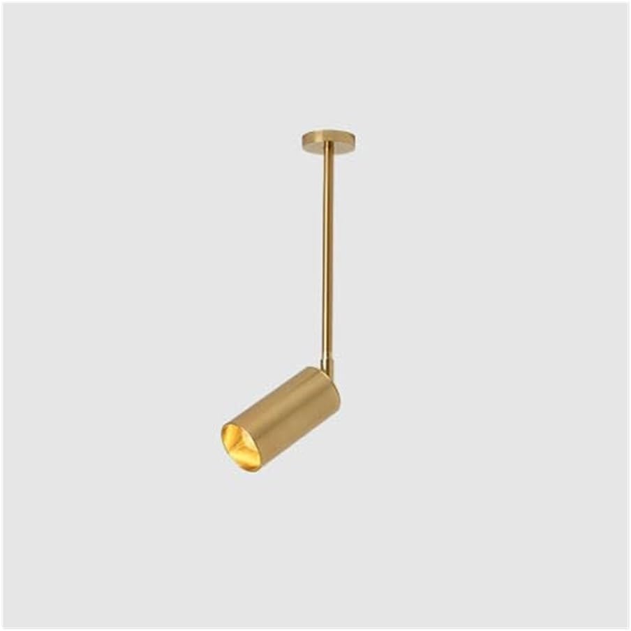 Modern Ceiling Spotlight Gold Adjustable, LED 10W 325° Rotatable Directional Accent Light Fixture, Track Lighting for Art Gallery, Shop Display, Restaurant Ambience, Home Decor(20CM)