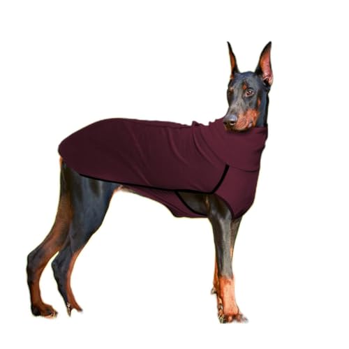 AttRex  ybg̕ TVc tH~  ^ ^ nCJbg m hbOEFA xXg h ۉ Č Hc pW} U o ybgpi (5XL,bh)