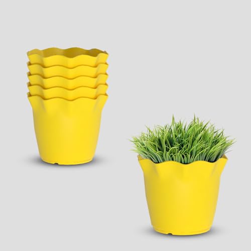 Image of YUCCABE ITALIA SHERA 4 Inch Plastic Flower Pot 6 Piece Set of Unbreakable Round Shape Planter for Home Garden Seedling, Indoor and Outdoor (Yellow)