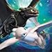 How To Train Your Dragon 3 Party Plates and Napkins for 16 guests from The Hidden World