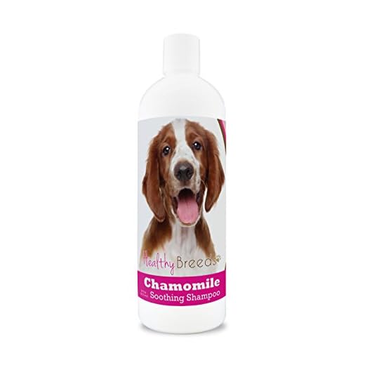 Healthy Breeds Welsh Springer Spaniel Chamomile Soothing Dog Shampoo 8 oz