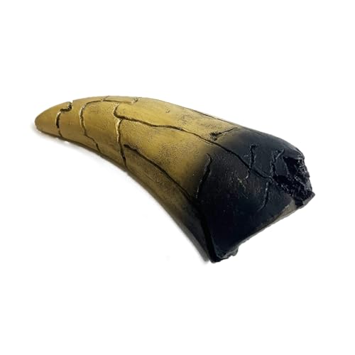 Image of 5.1 inches Tyrannosaurus Tooth Direct Cast Replica,Dinosaur Relic Bone Replica (Yellow-2)