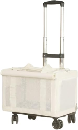 MoremoQQ L L[obO e ybgobO 傫 y  L 4 2Cp ybgL[ o L[P[X 萫 ʋC  ybgL[ bN hCu s O ЊQpybgobO (A4)