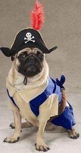 Pirate Pup Halloween Costume Small Dog Costume