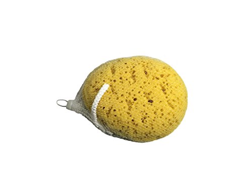 Body-Sponge