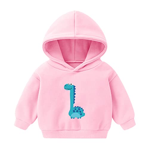 Betadog Toddler Boys Girls Winter Long Sleeve Hoodie Sweatshirt Kids Outwear Clothes Cartoon Dinosaurs Tops