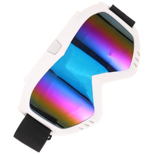 DINHEAROM Gafas de Montar para Ciclismo y Deportes al Aire Libre, Ligeras y Cómodas, Material Plástico Resistente y Diseño Estilizado para Protección contra Viento y Arena