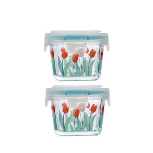 ASIBO Small Square Glass Containers with Lids, 2 Pack Airtight Floral Jars