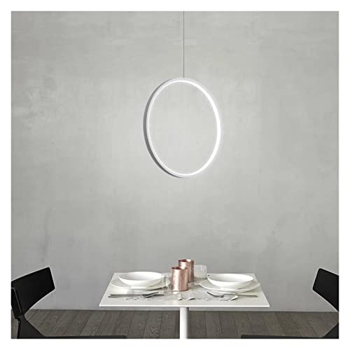Lumière suspendue LED cercle noir pour salon moderne