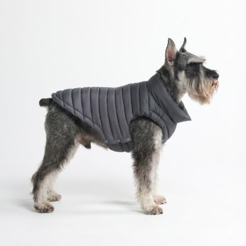Image of Puffshield Dog Winter Jacket - Black - L