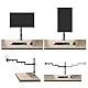 Monitorhalterung,Vesa Tischhalterung Bildschirmhalterung Höhenverstellbar für LED und LCD 17-32 Zoll Monitor Tischhalterung,710mm Extra Langer Arm Neigbar 180° Schwenkbar 360° bis 10 kg,VESA 75/100 mm