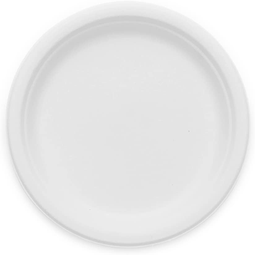 25cm (10") Large White Bagasse Plate - Fully Biodegradable & Compostable (Pack of 50)