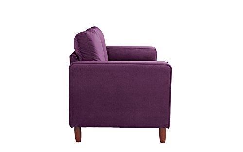 Divano Roma Furniture Couch for Living Room, Tufted Velvet Fabric Sofa with Back Cushions, Tufted Bottom and 2 Extra Cushions (Purple)