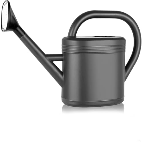 Watering Can for Plants Garden Watering Cans for Indoor Outdoor Plant House Flower with Large Long Spout with Sprinkler Head Grey 3L (Grey)