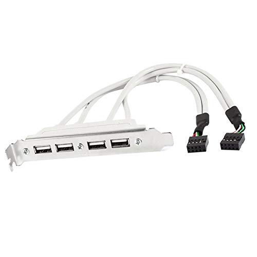 P89 30 cm Câble adaptateur Dual USB enfichable à Équerre slot 4 x USB HUB 2.0 PC Carte mère Cover