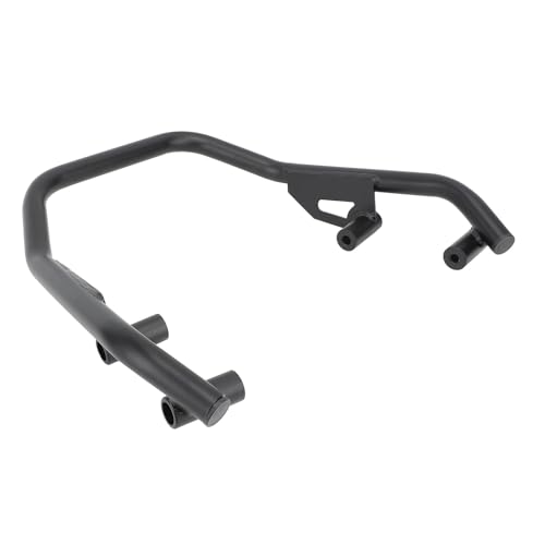 Srliya - Motorcycle Rear Passenger Grab Bar 22mm Iron Tube Rear Seat Grab Rail Bars Handle Replacement for Indian FTR1200 2019 to 2023