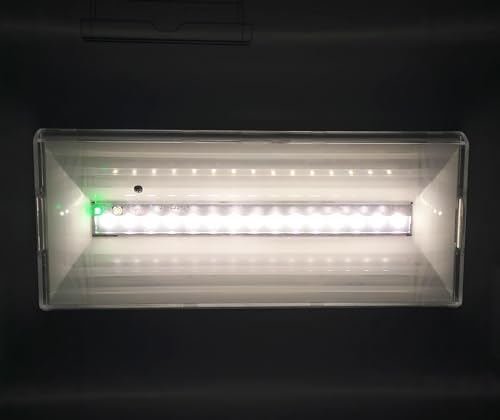 shopVG IP 20 LED Dauerlicht Notleuchte Notbeleuchtung Notausgang Fluchtwegleuchte Notlicht Fluchtweg EXIT mit test Fernbedienung