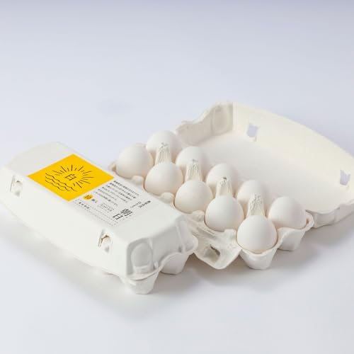 ココテラスの朝日(白たまご)15個 + 5個保証(計20個)