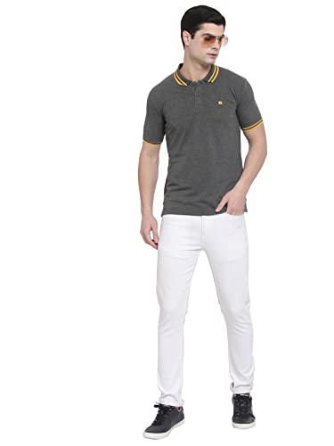 Image of Allen Cooper Polo Tshirts for Men