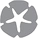 EK Success EKS5430331 Ek Punch Double Sand Dollar