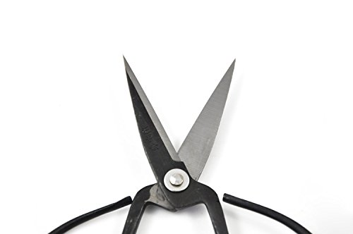 5 pcs lot wangwuquan 170mm Length foged Carbon Steel Gardening Tool Bonsai Scissors
