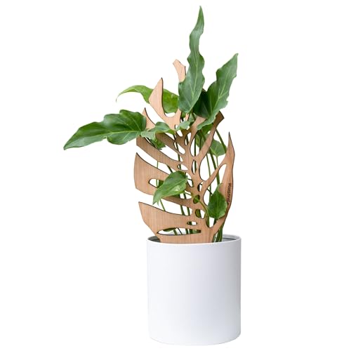 Treleaf Bare Monstrella Customizable Wooden Monstera Leaf Plant Trellis Regular Size 12 Indoor Plant Support and Decorative Houseplant Stake for Potted Climbing Plants