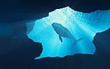 Orla/123rf.com adrium Tableau composite en aluminium 50 x 30 cm : scène sous-marine de la baleine au fond de l\'océan, il s\'agit d\'une représentation 3D (108230526)