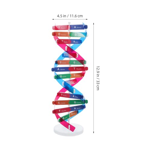 ULTECHNOVO Helix Gene Model Kit Models Double Helix Model Dna Science Teaching Molecular Structure Model Gene Popularization Gene Spiral Technology Model Double Helix Structure Abs