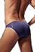 Newsywell Men's Soft Panties Bikini Briefs Ice Silk Low Rise Underwear Purple Blue Large