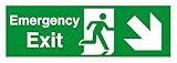 Safety First Display LTD