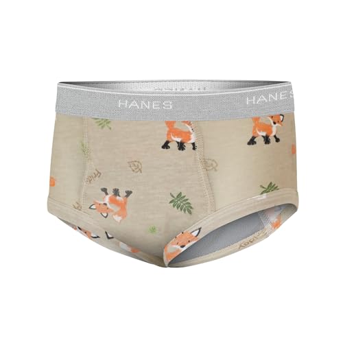 Image of Hanes Boys' Potty Training Underwear, Light Leaks Toddler Cotton Briefs and Boxer Briefs, Multi-pack