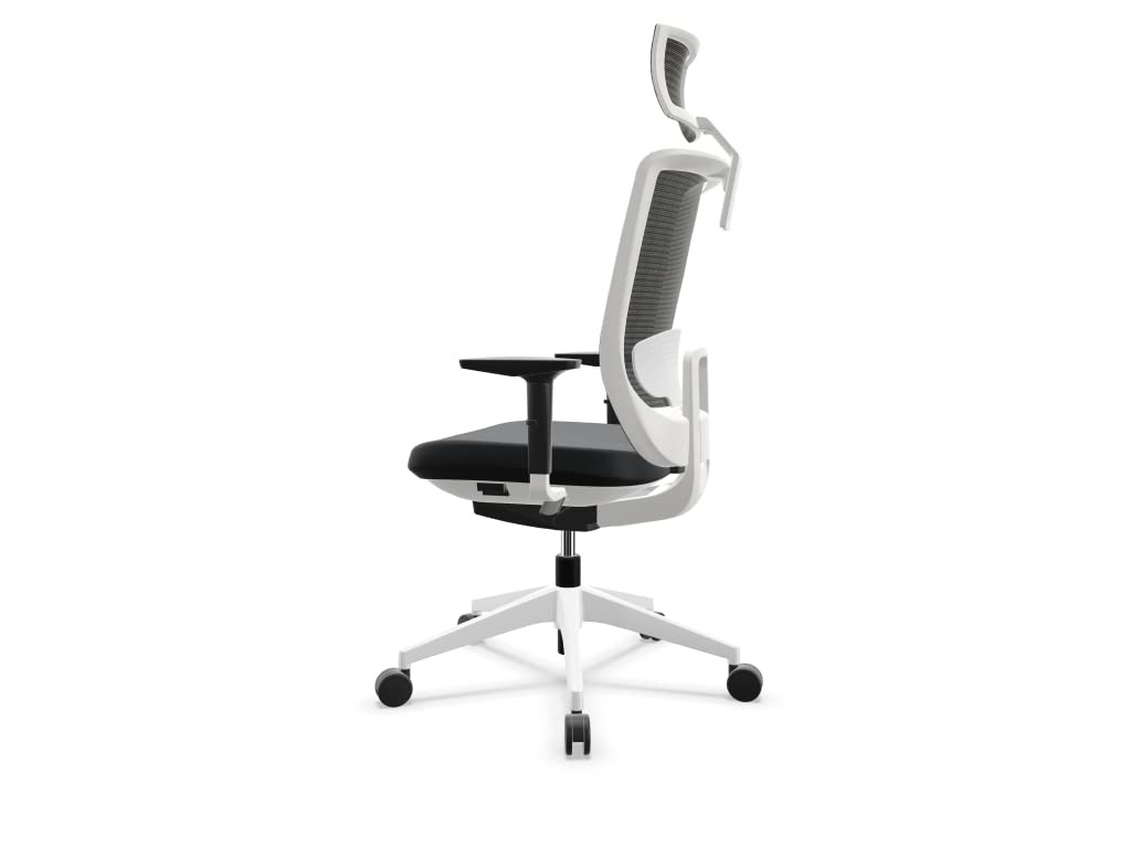 Silla de Escritorio ergónomica Actiu Trim | White and Black Silla de Oficina Profesional