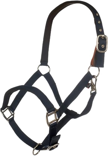 Licol Bleu Foncé Pur-sang HKM Breakaway 2 pour la sécurité de votre cheval au quotidien