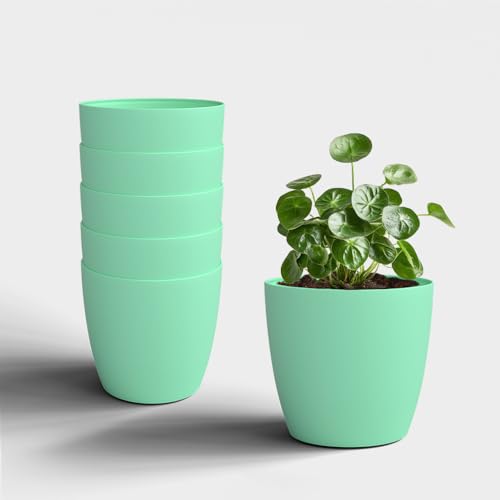 Image of YUCCABE ITALIA SHERA Stella 5 Inch Plastic Plant Pot for Home Decor Indoor Plant Pots for Living Room Plastic Flower Pot for Garden (Seagreen, 5 INCH - 6 Pcs)