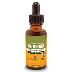 Herb Pharm Certified Organic Artichoke Liquid Extract for Cardiovascular and Circulatory Support – 1 Ounce