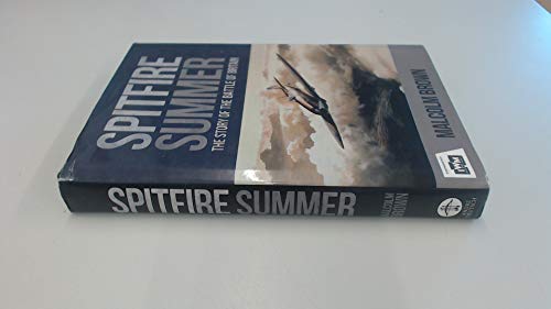 Spitfire Summer: The Story of the Battle of Bri... 023300453X Book Cover