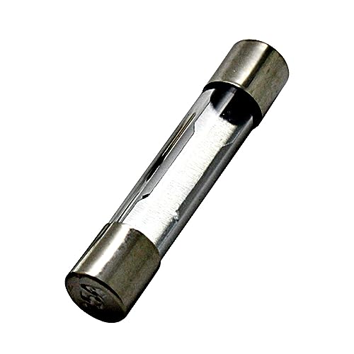 Chanzon 20 Stück VDE Prüf 6x30 4A Sicherungen Sicherung Glassicherung Glasrohrsicherung Feinsicherung Schnelle Glas Sicherung 125V Glas AGC-Patronen-Rohrsicherung schnell durchgebrannt 250 V