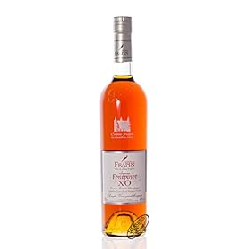 Buy Frapin Chateau de Fontpinot XO Cognac 70cl for an Exceptional Tasting Experience – Frapin