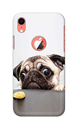 Image of PRINTFIDAA� Printed Hard Back Cover Case for Apple iPhone XR Logo View Back Cover (Pug Dog) -2808