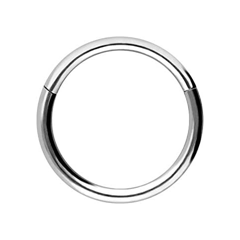 PIERCINGLINE Anillo de titanio con bisagras, joyería para tabique, nariz, hélice, tragus, cartílago, daith, oreja, Titanio, Sin piedra Cover