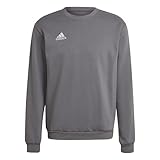 Regulär geschnitten adidas Men\'s Ent22 Top Sweatshirt, team grey four, XXL EU