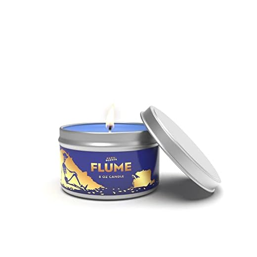 Park Scents flume candle - smells like THE PIRATS OF THE CARIBBEAN WATERS - Handmade in the USA vegan and cruelty free | 8 oz. Tin