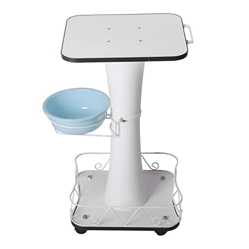 Salonwagen Kosmetikwagen Beauty Salon Trolley mit Ablagefach & Bremsrad...