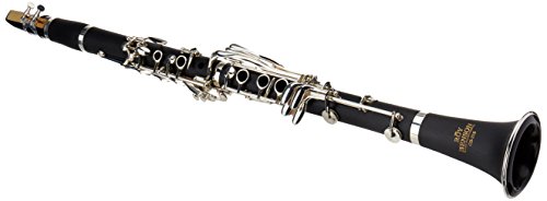 Roy Benson RB700457 - Clarinete, estuche ligero rectangular