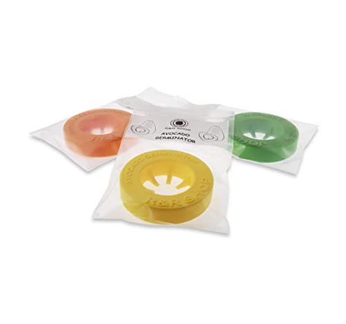 R&R SHOP Avocado Kit Germinator - Schwimmender Topf für die Avocado-Keimung, Samenwachstumskit, 100% recycelbarer und zusammensetzbarer Maisplastik (Grün)